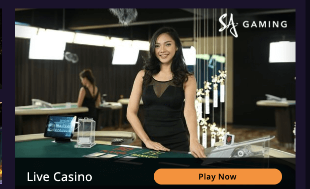 casino765 